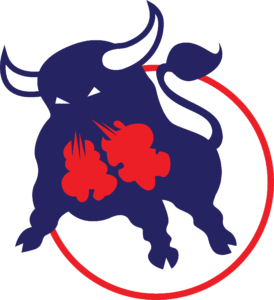 Toros-Hockey-Logo copie